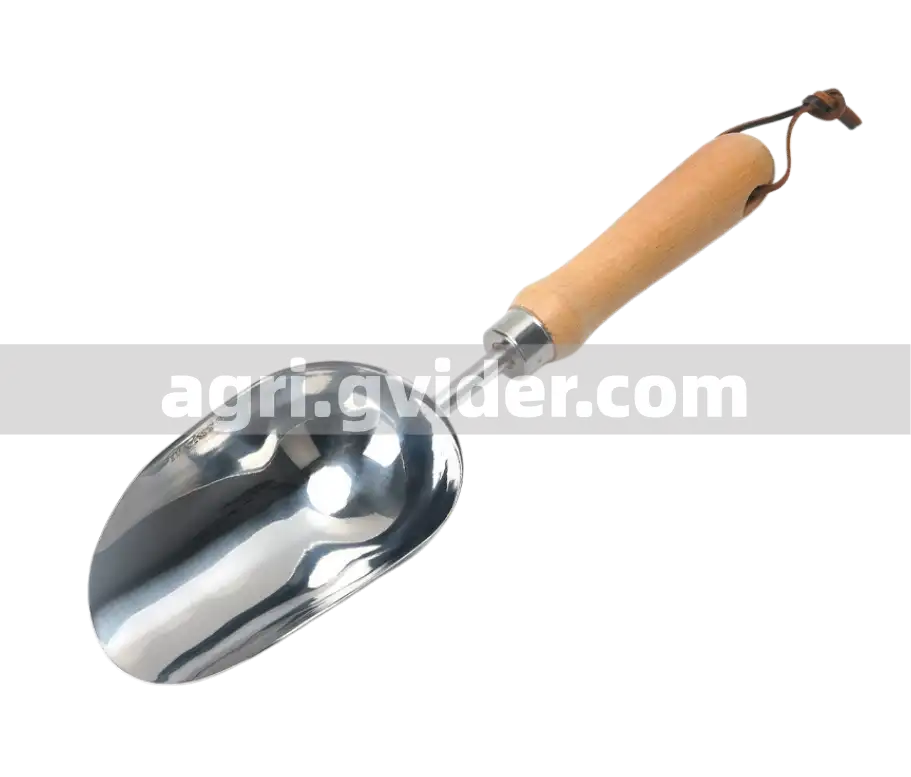 Gvider Stainless Steel Feed Scoop